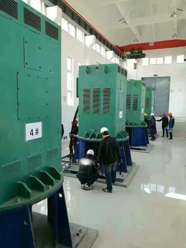 武平某污水处理厂使用我厂的立式高压电机安装现场