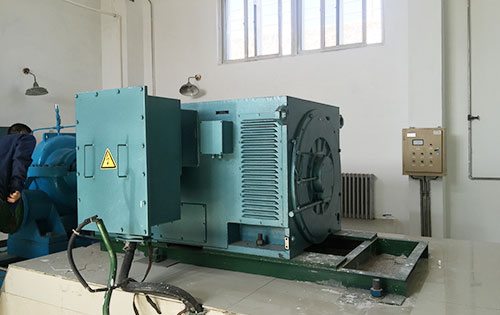 武平某水电站工程主水泵使用我公司高压电机