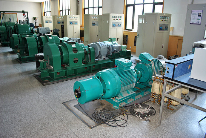 武平某热电厂使用我厂的YKK高压电机提供动力